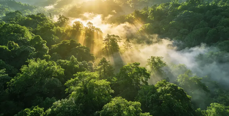 阿拉善肺癌13基因突变检测（组织）图片1