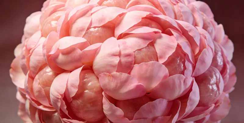 阿拉善BRCA1/2乳腺癌卵巢癌基因检测图片1